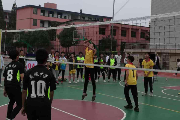 西渡镇排球赛2 .jpg