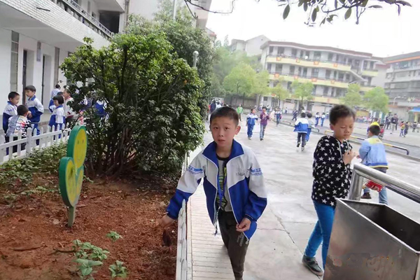 春晖小学多彩教育.jpg